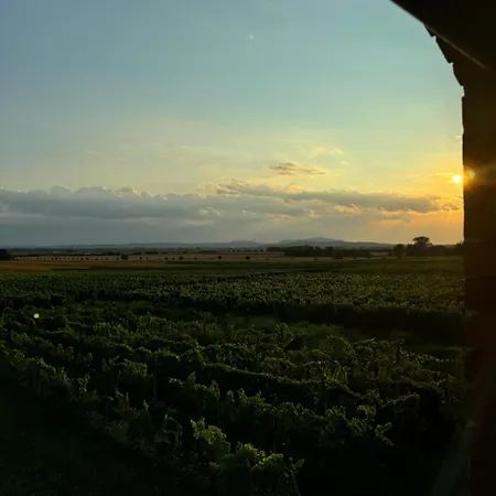 Ve Vinném Sklepě - Apartmán *