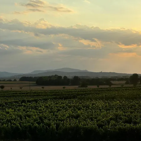 Ve Vinnem Sklepe - Velke Bilovice