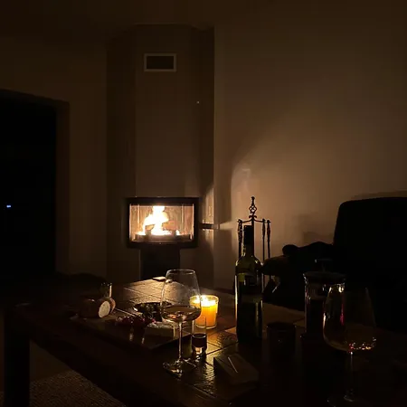 Ve Vinnem Sklepe - Apartman Velké Bílovice