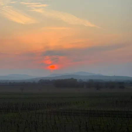 Ve Vinném Sklepě -
