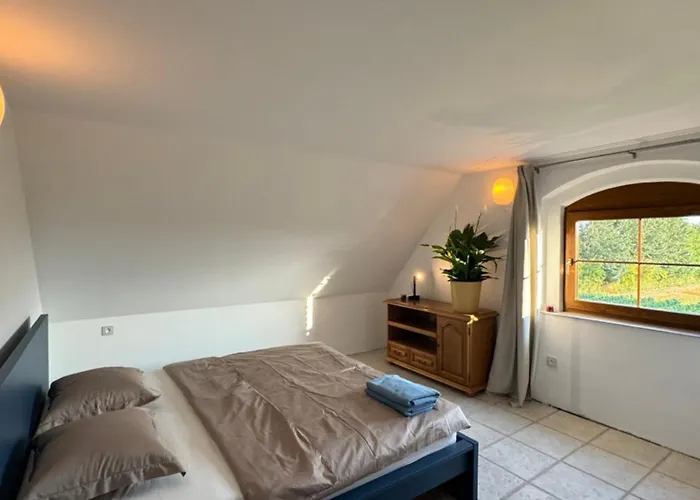 Apartman Ve Vinnem Sklepe - Velké Bílovice